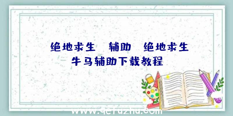 「绝地求生ze辅助」|绝地求生牛马辅助下载教程